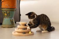 Designed By Lotte speeltoren Mia - thumbnail