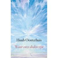 Waar onze doden zijn (Paperback) - thumbnail