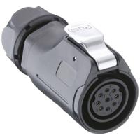 Lutronic 2640 07 T12CB T Ronde connector Bus, recht 1 stuk(s) - thumbnail