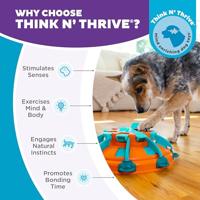 NINA OTTOSSON TOWER OF TREATS ORANJE / BLAUW - thumbnail