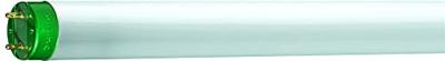 Philips MASTER TL-D Eco fluorescente lamp 32,2 W G13 A Warm wit