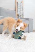 Knuffel voor honden Trixie 28 cm - thumbnail