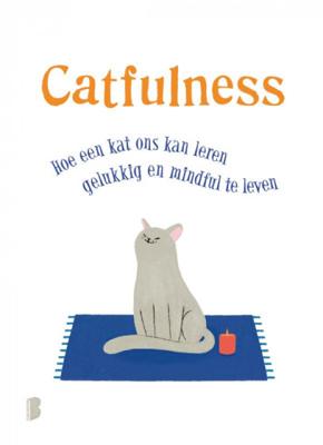 Catfulness - Paolo Valentino - Hardcover (9789022581216) Catfulness - Paolo Valentino - Hardcover (9789022581216)