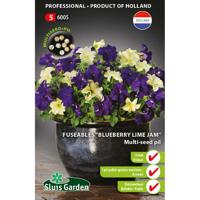 Fuseable multi-seed pil 'Petunia Blueberry Lime Jam F1' - thumbnail
