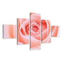 Schilderij - Pastelroze roos, 5luik, premium print - thumbnail