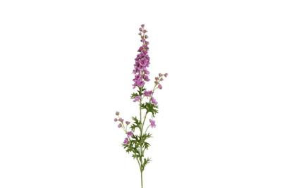 Decostar Delphinium giant 90 cm paars Decostar Delphinium giant 90 cm paars