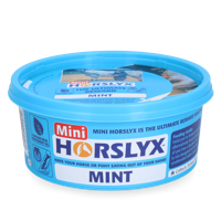 Horslyx Mini Mint - thumbnail