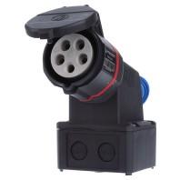 Walther Werke FW112506CC CEE-wandcontactdoos 16 A 5-polig 230 V, 400 V 1 stuk(s)