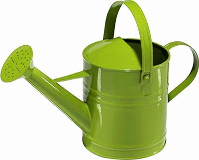 Kindergieter metaal groen