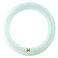 Philips ronde tl 40w/840 tle coolwhite 5900617 - thumbnail
