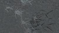 Muance Muance Fotobehang Harmony hues - MU15006 - thumbnail