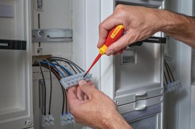 Bosch Professional 1600A02NC1 VDE Platte schroevendraaier