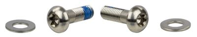 SRAM bevestigingsbout mount.screw st.steel 17mm,pair,f.flat mount