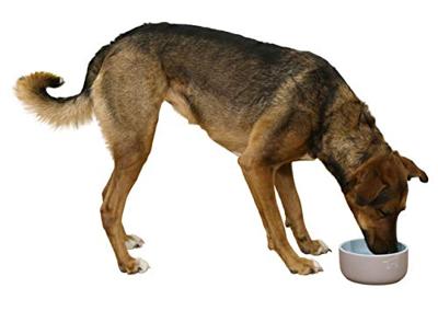 Voederbak ceramic grijs turquoise 500ml