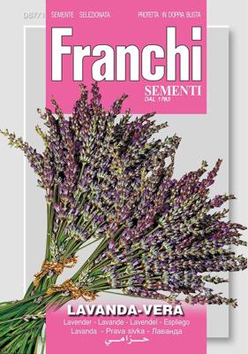 Lavendel Lavanda Vera 87/1 zaden Franchi - Franchi