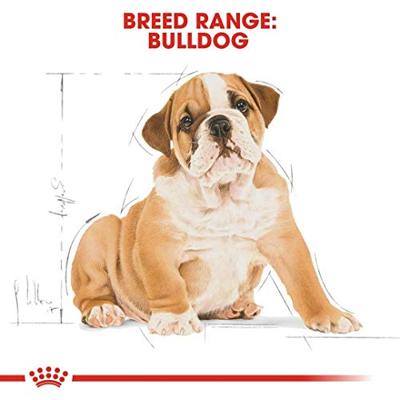 Royal Canin Puppy Bulldog hondenvoer 12 kg - thumbnail