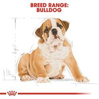 Royal Canin Puppy Bulldog hondenvoer 2 x 12 kg - thumbnail