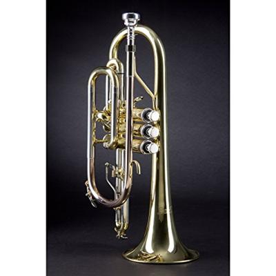 Vincent Bach CR651 Bb kornet 119 mm (gelakt) met koffer