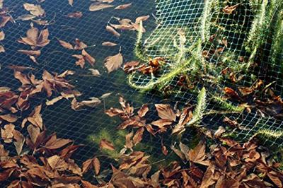 Siena Garden 22250-2-36 Vijvernet