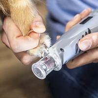 FURminator - Elektrische klauwvijl voor honden en katten - thumbnail