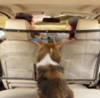 Nobleza Hondennet auto - Universeel - 62x115 cm - thumbnail