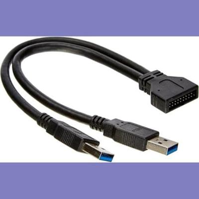 Delock USB 3.2 Gen 1 (USB 3.0) Adapter [2x USB 3.2 Gen 1 stekker A (USB 3.0) - 1x USB 3.2 Gen 1 stekker intern 19-polig (USB 3.0)] 83910 25.00 cm