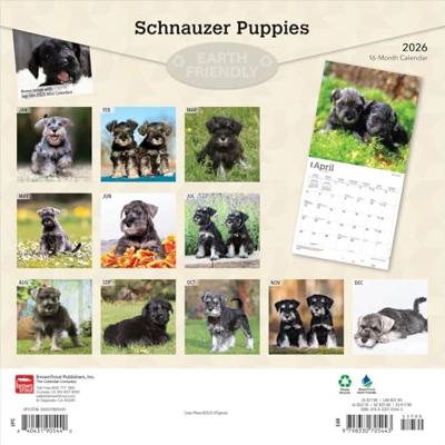 Schnauzer Puppies Kalender 2026