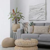 Calathea 75cm Kunstplant Groen/rood - thumbnail