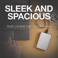 Seagate One Touch STKZ4000401 externe harde schijf 4 TB Zwart, Zilver - thumbnail