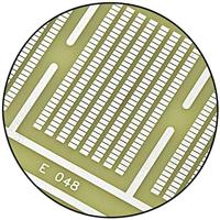 TRU COMPONENTS SU528048 SMD-printplaat Epoxide (l x b) 160 mm x 100 mm 35 µm Rastermaat 1.27 mm Inhoud 1 stuk(s) - thumbnail