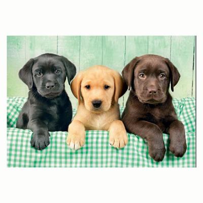 Clementoni Puzzel 1000 Stuks Labrador Pubs 3 Kleuren Compact