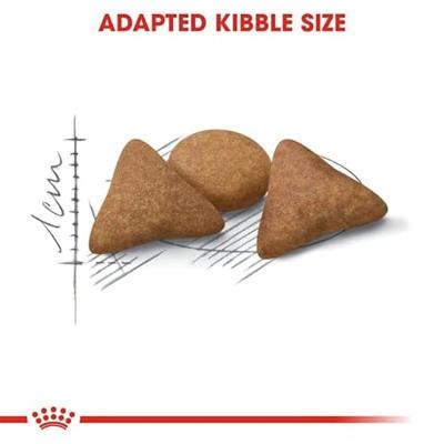 Royal Canin Indoor Appetite Control kattenvoer 3 x 4 kg - thumbnail