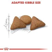 Royal Canin Indoor Appetite Control kattenvoer 2 x 4 kg - thumbnail