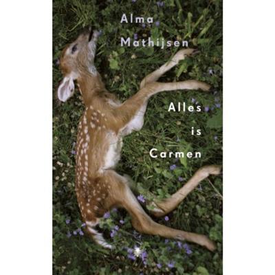 Alles is Carmen (Hardback)