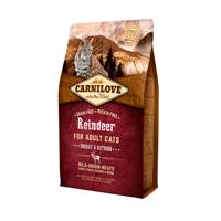 CARNILOVE Cat Adult Energy & Outdoor Reindeer - droog kattenvoer - 6kg - thumbnail
