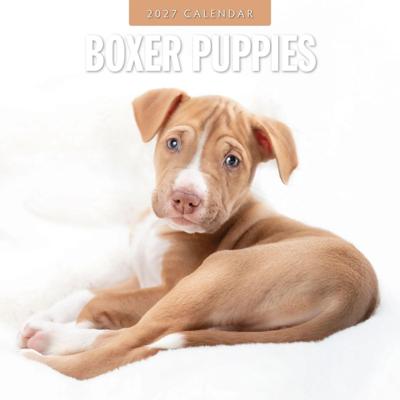 Boxer Puppies Kalender 2027 Boxer Puppies Kalender 2027