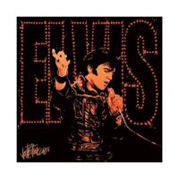 Kunstdruk Elvis Presley - 68 40x40cm - thumbnail