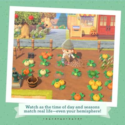 Animal Crossing New Horizons Animal Crossing New Horizons