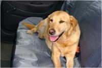 Beeztees Auto Hondendeken - 110x130 cm - thumbnail