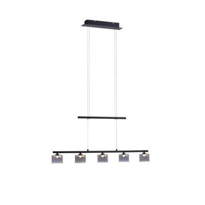 Paul Neuhaus 5-lichts hanglampHydra zwart - 2209-18