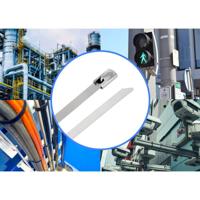 TRU COMPONENTS TC-12647556 Stalen kabelbinder 200 mm 4.6 mm AISI 304 100 stuk(s) - thumbnail