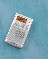 Radio Sangean DT250S Zilverkleurig - thumbnail