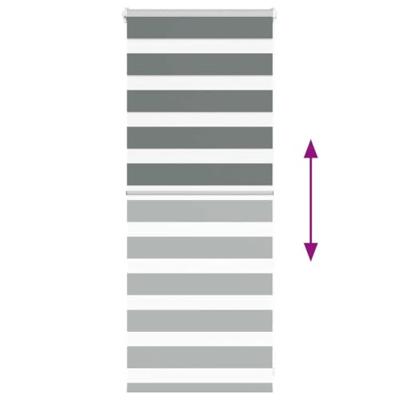 Zebra rolgordijn 60x100 cm stofbreedte donkergrijs 55,9 cm Zebra rolgordijn 60x100 cm stofbreedte donkergrijs 55,9 cm