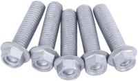 TRW bouten-set screw set 5pcs. m8x1,25 - thumbnail