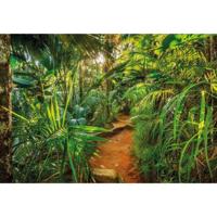 Komar fotobehang jungle trail 368x254 cm - thumbnail