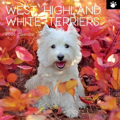 West Highland White Terrier Kalender 2026