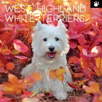 West Highland White Terrier Kalender 2026 - thumbnail