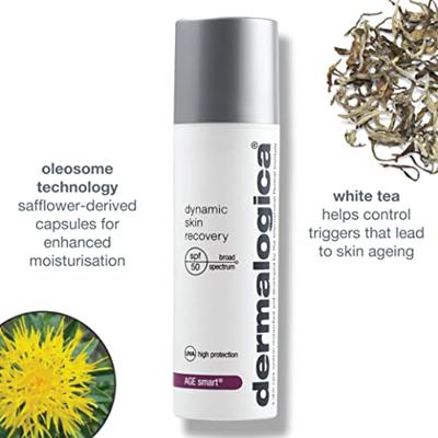 Dermalogica Dynamic Skin Recovery SPF50 Dermalogica Dynamic Skin Recovery SPF50