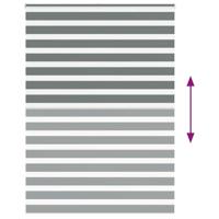 Zebra rolgordijn 160x230 cm stofbreedte 155,9 cm donkergrijs - thumbnail