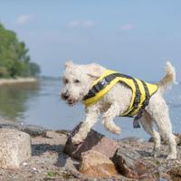 Trixie zwemvest geel / zwart - thumbnail